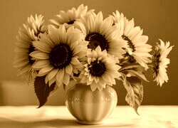 Sepia