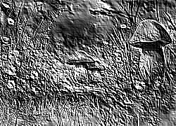 Skamielina