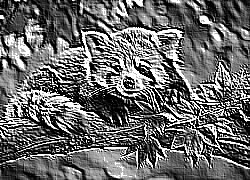 Skamielina