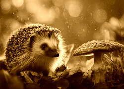 Sepia