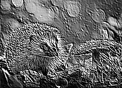 Skamielina