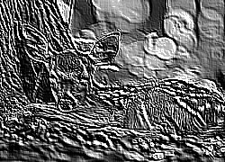 Skamielina