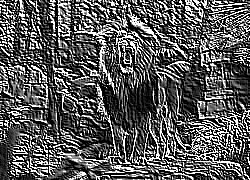 Skamielina