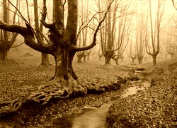 Sepia