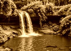 Sepia