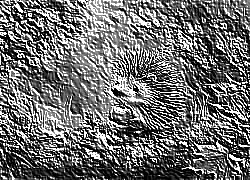 Skamielina