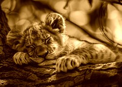 Sepia