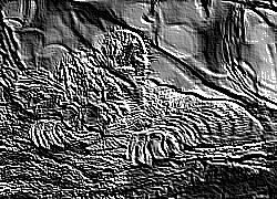 Skamielina