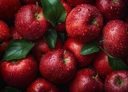 Oryginalny obrazek