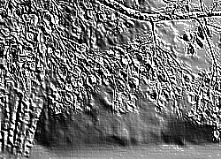 Skamielina