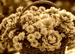 Sepia