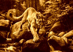Sepia