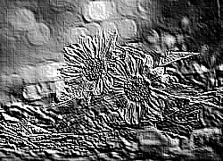 Skamielina
