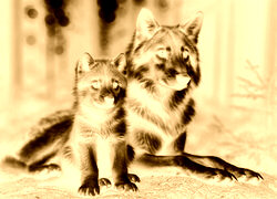 Sepia + Negatyw