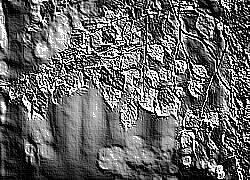 Skamielina