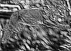 Skamielina