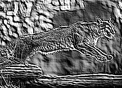 Skamielina