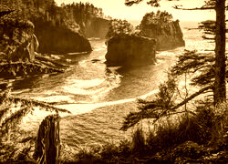Sepia