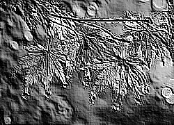 Skamielina