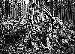 Skamielina
