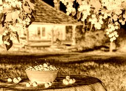 Sepia + Negatyw