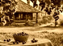 Sepia