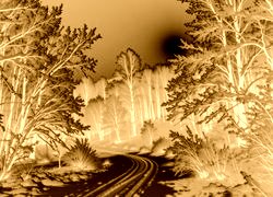 Sepia + Negatyw
