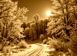 Sepia