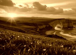 Sepia