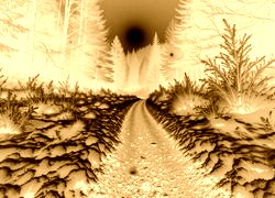 Sepia + Negatyw