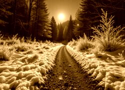 Sepia