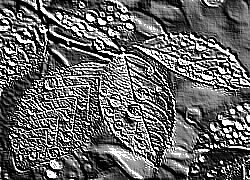 Skamielina
