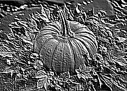 Skamielina