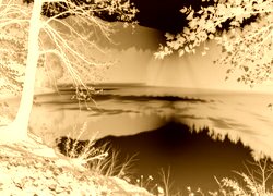 Sepia + Negatyw