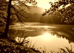 Sepia