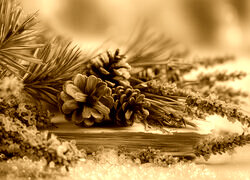 Sepia