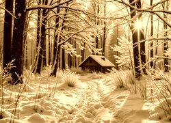 Sepia