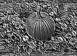 Skamielina