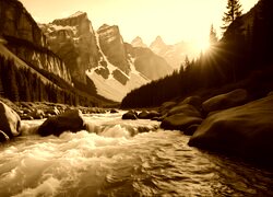 Sepia