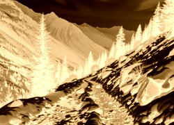 Sepia + Negatyw