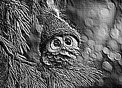 Skamielina