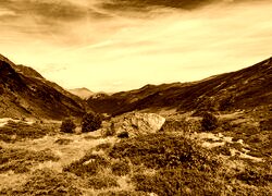 Sepia