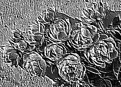 Skamielina