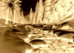 Sepia + Negatyw