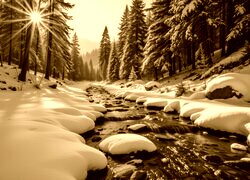 Sepia