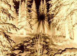 Sepia + Negatyw