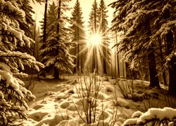 Sepia