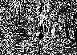 Skamielina