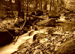 Sepia
