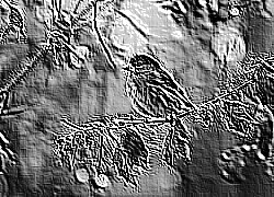 Skamielina